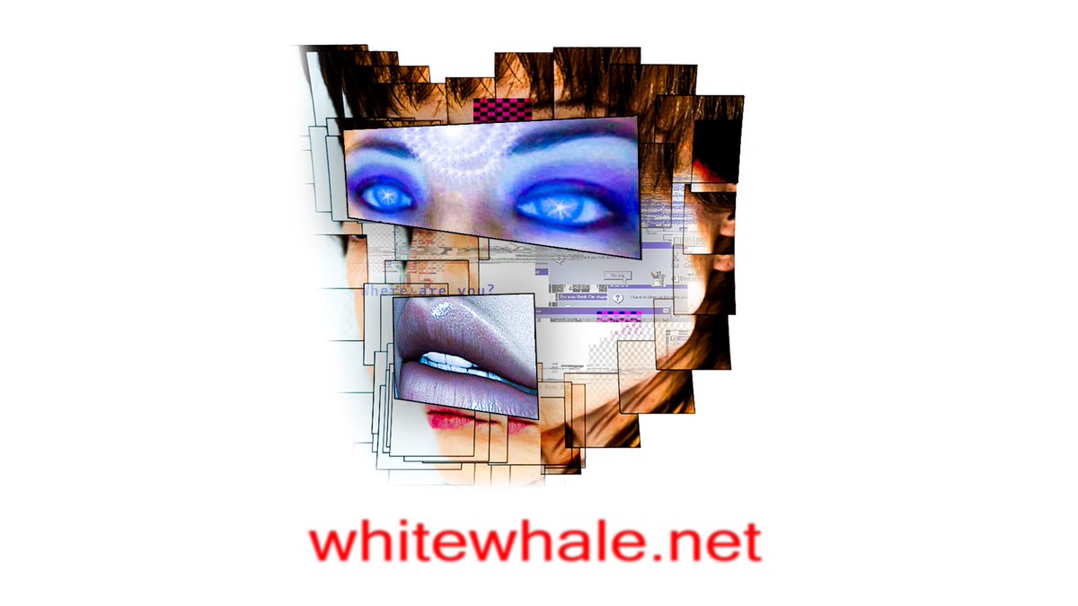 Brandon FM tweet media