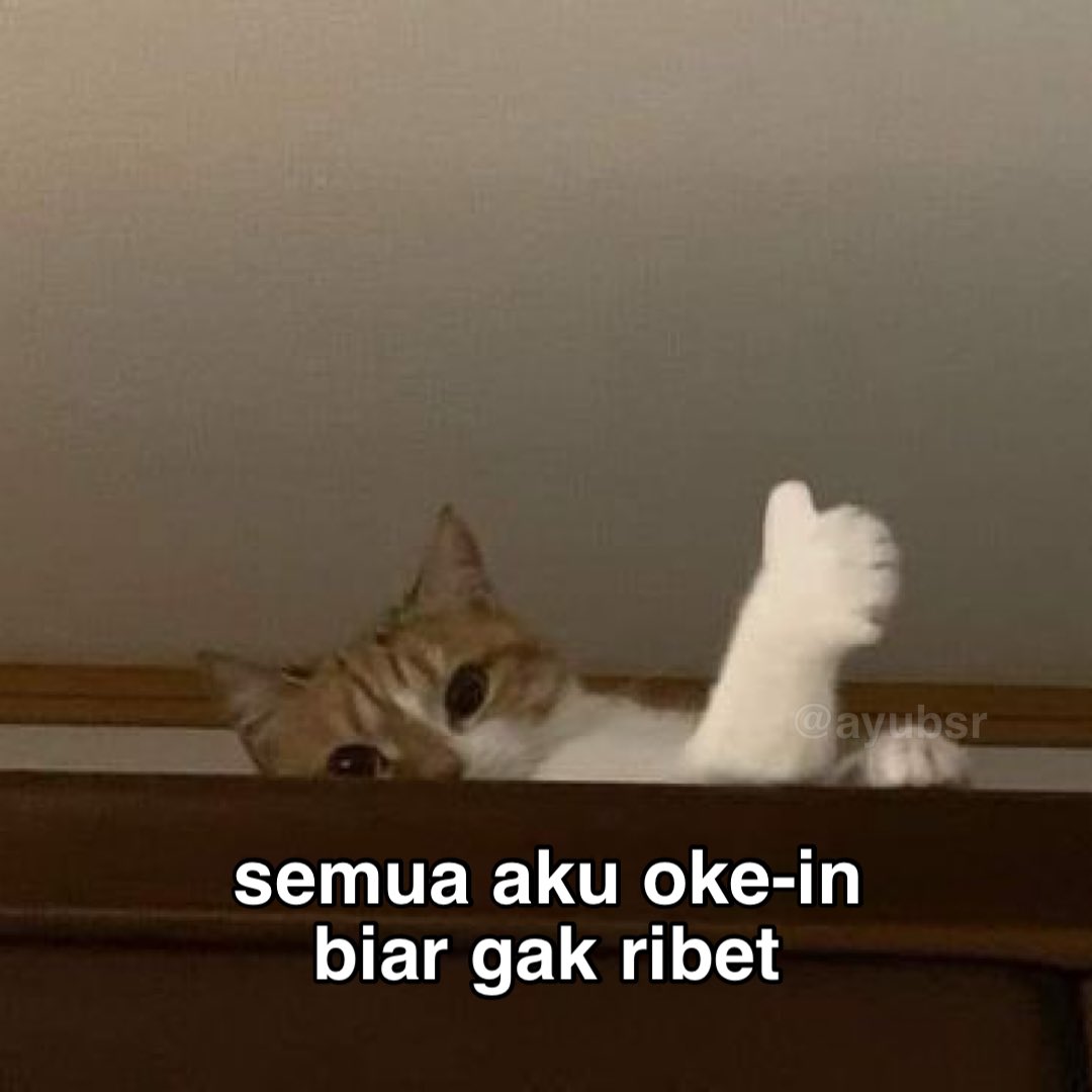 ayubsr's tweet image. 