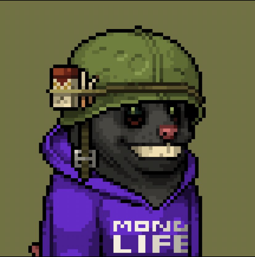 HAMSTER COIN tweet media