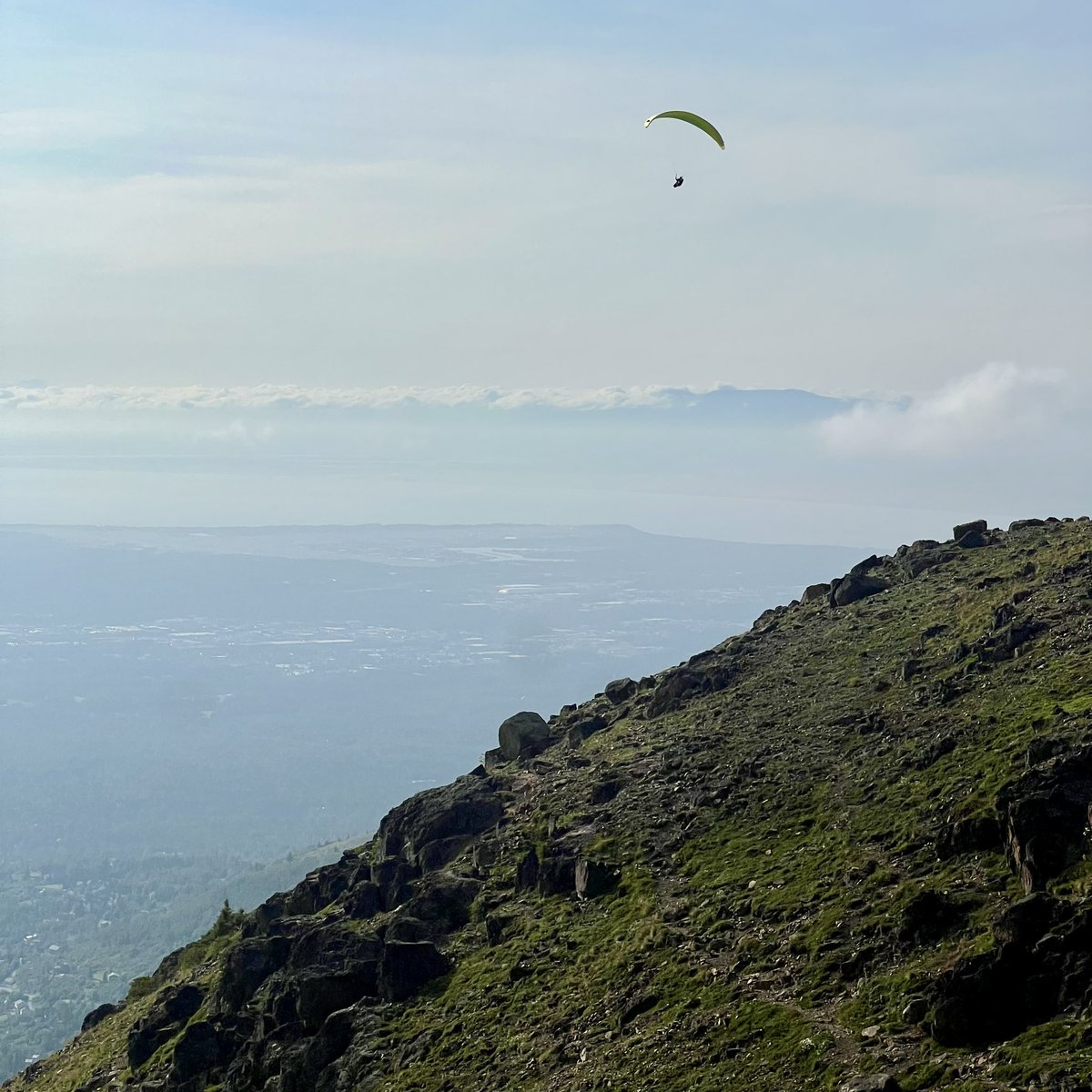 Austin Baird tweet media