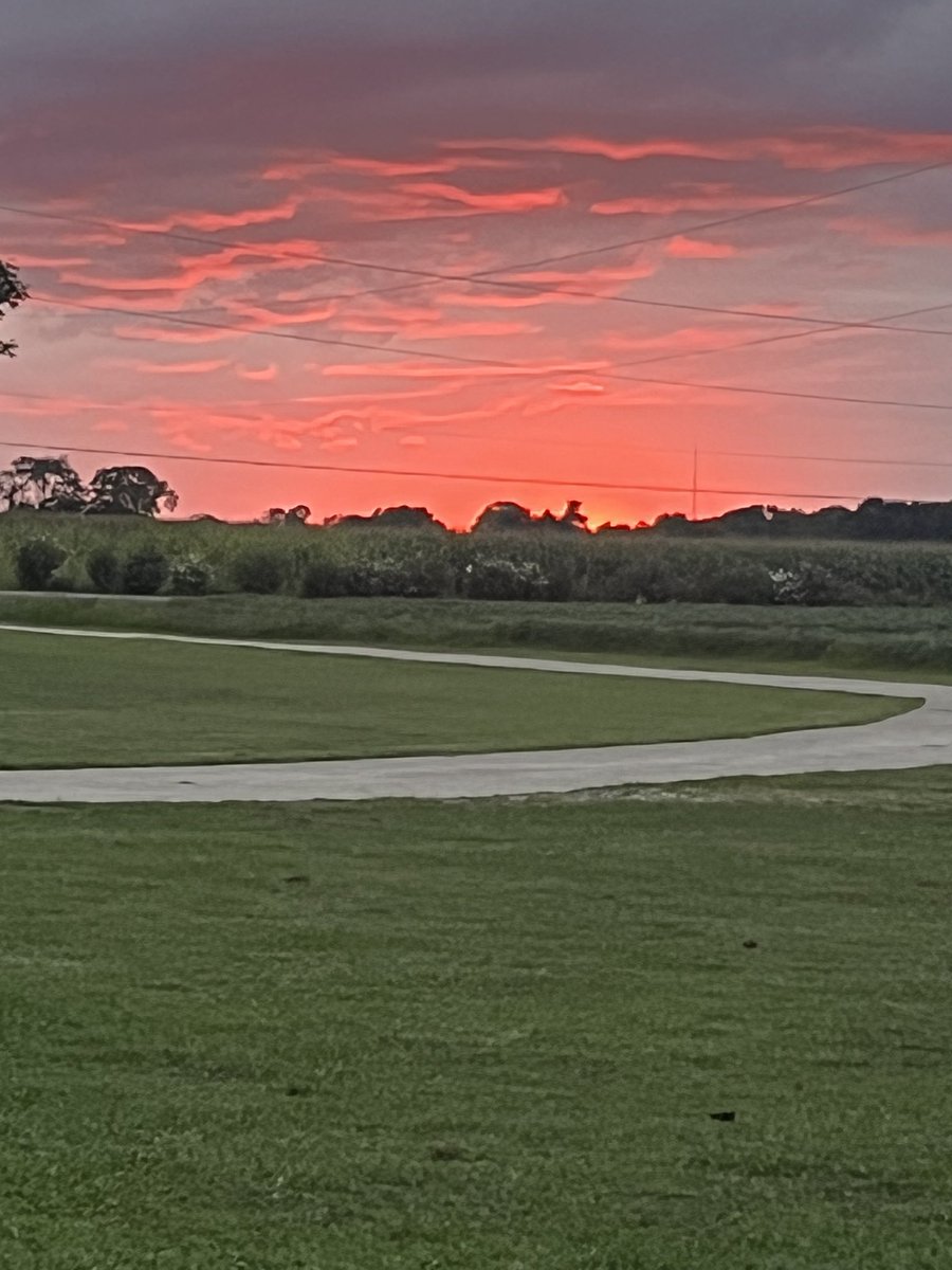 Paul Swanwick tweet media