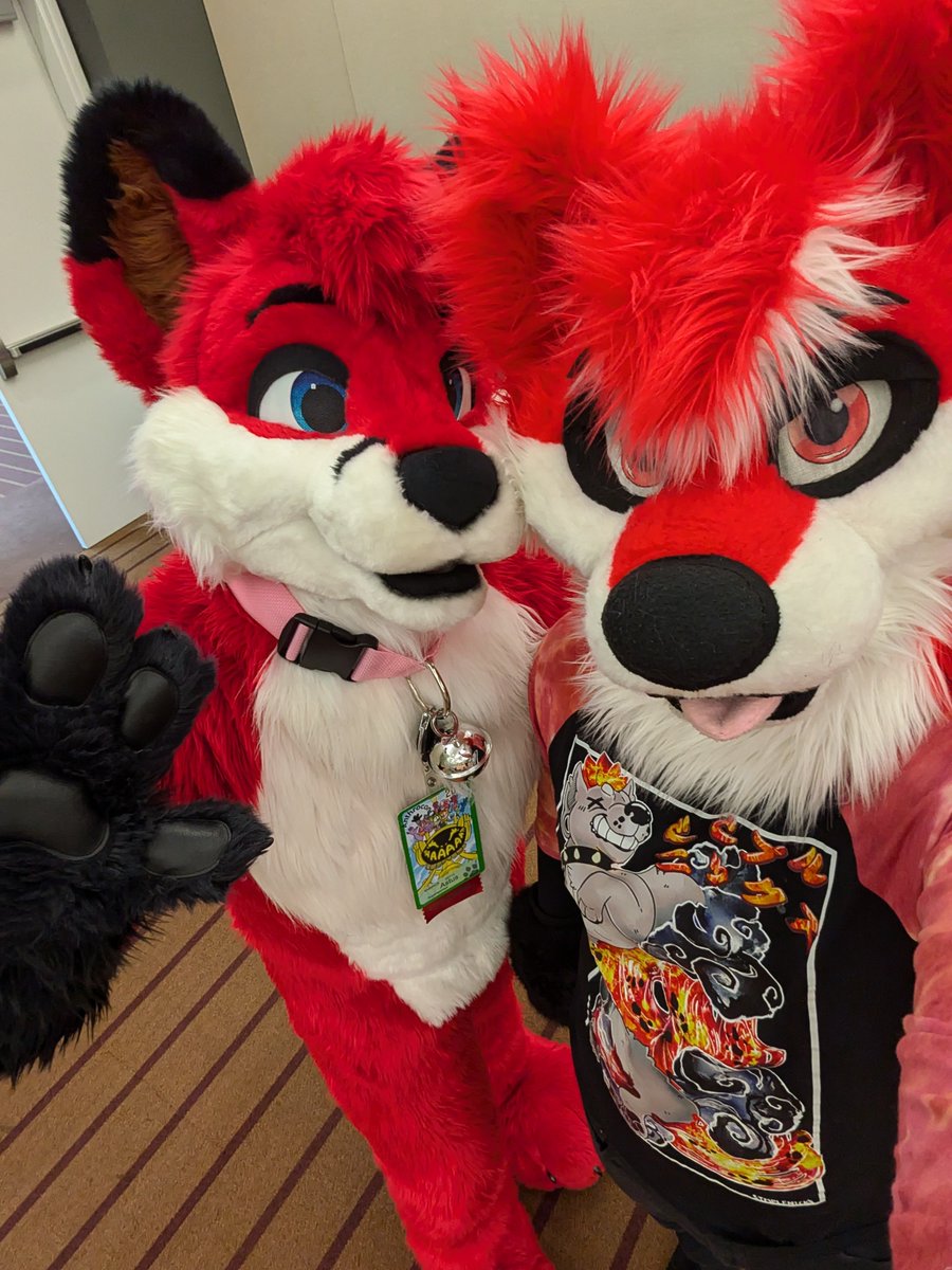 Ajax Starlight 🔜 FM tweet media