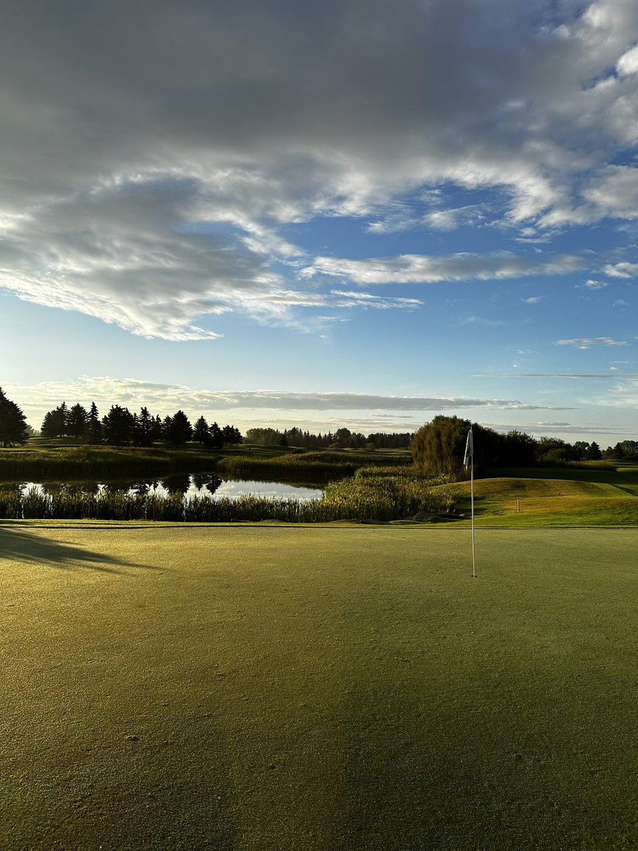 Ryan Lindsay tweet media