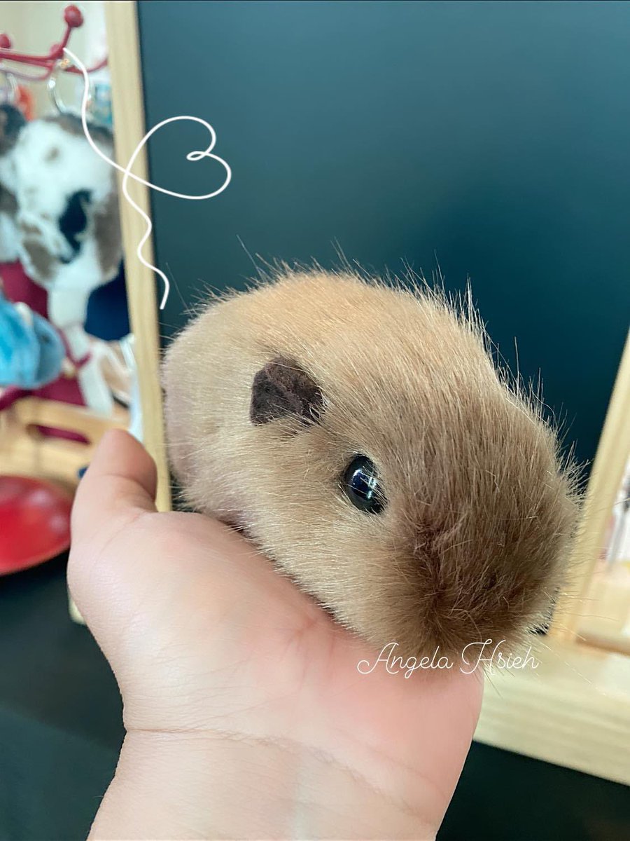 plushguineapigs's tweet photo. Trying new fabric today ❤️
~ Keychain plush Guinea pig 🐹
#handmadebyangelahsieh
#plushguineapigs #giftidea #plush #gift #nzmade #handmade #custommade #keychain https://t.co/rTAm4DbjT6