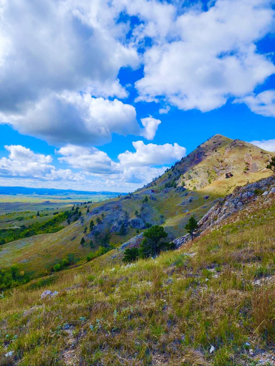 Lakota Man tweet media