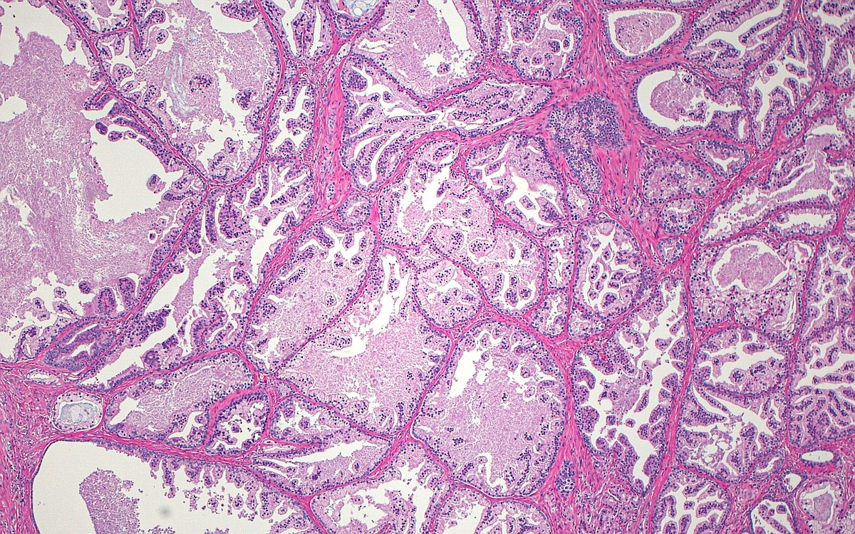 Ziad El-Zaatari tweet media