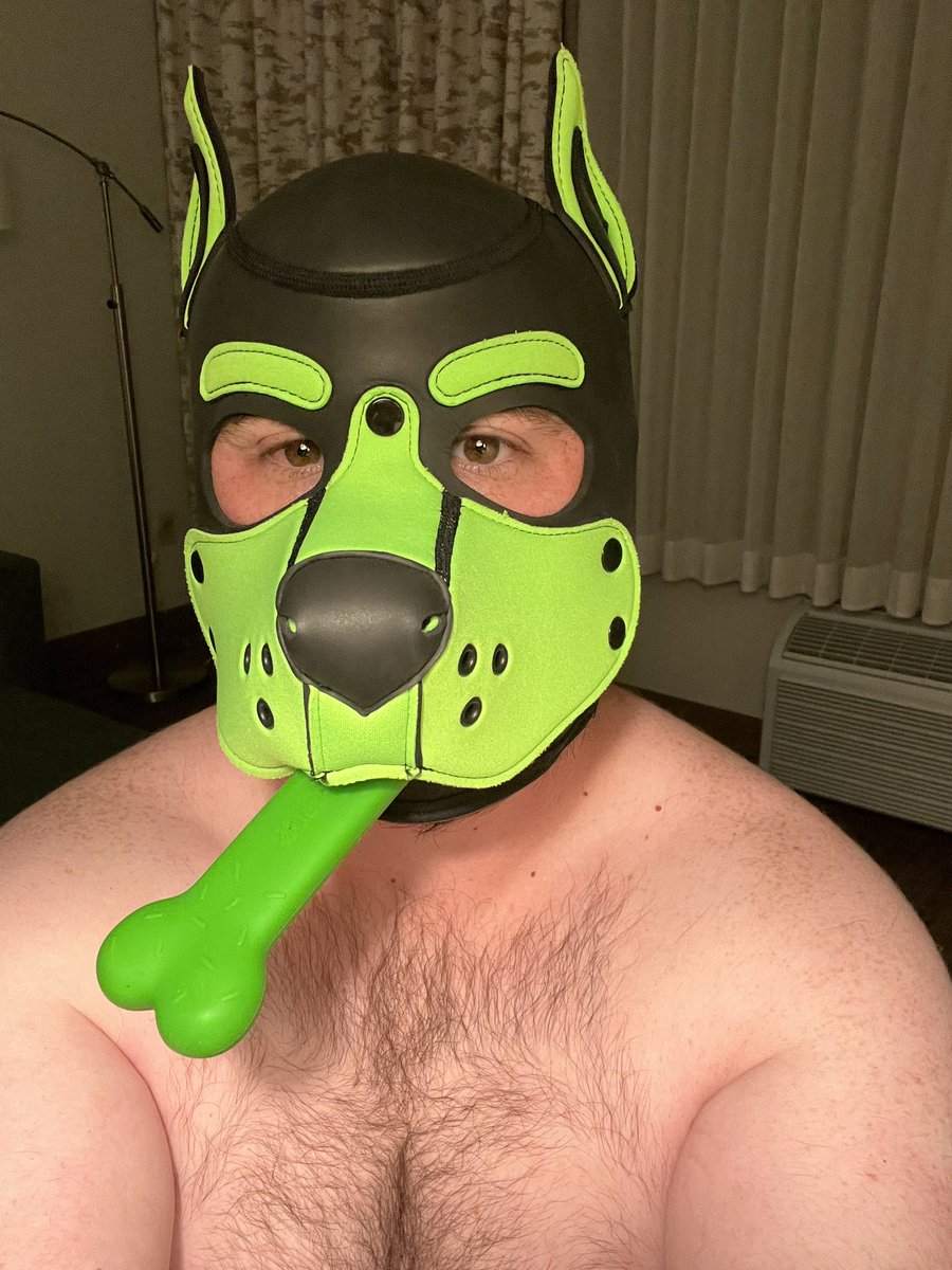 PupCooper tweet media