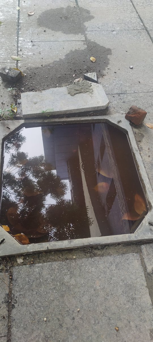 kd_rwapitampura's tweet photo. @DelhiPwd @DelhiComplaint @LtGovDelhi @AtishiAAP No cleaning Done from More than 5 days below Kohat Metro Station Pitampura. Mosquito breeding in Stagnant water... it's Capital .... Delhi ... Bad Situation https://t.co/Uoj5XrNO4I