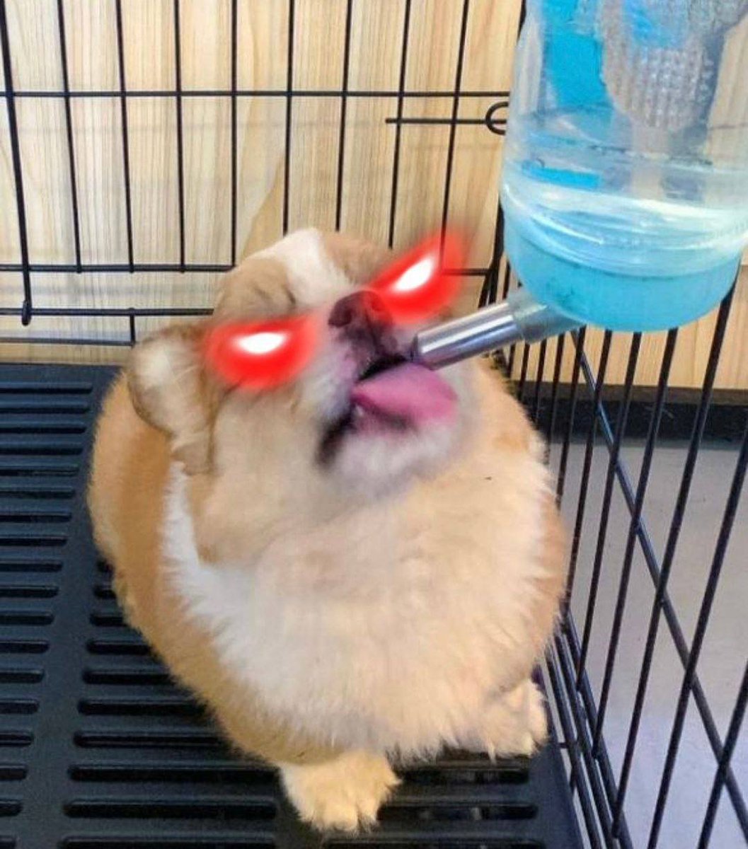 WE JUST BEGUN 

ABOUT TO UNLEASH FULL AMMO, BUCKLE UP