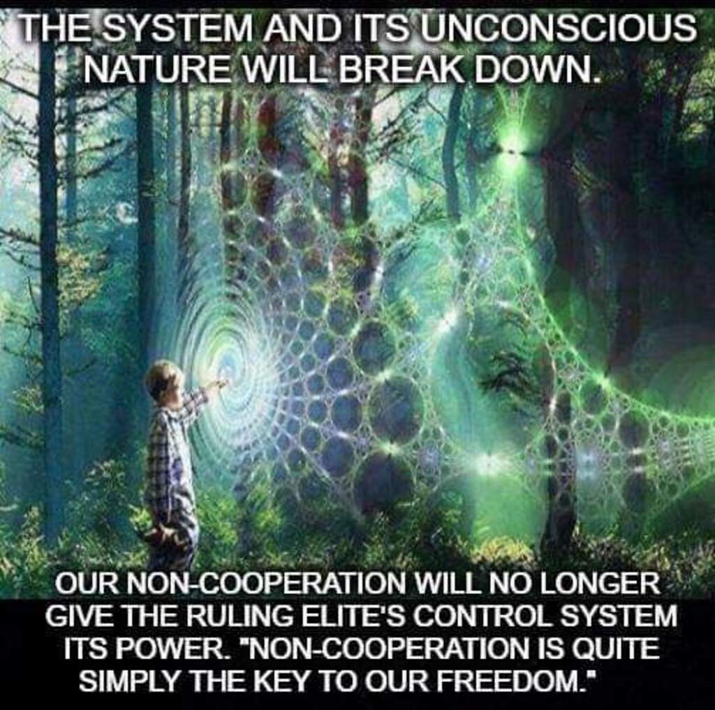 Mr.Obvious tweet media