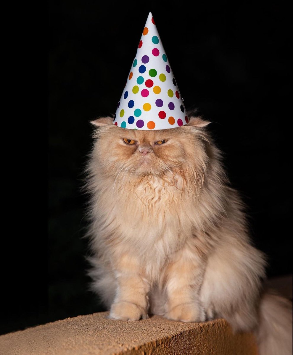 Do you remember when you joined X? I do! #MyXAnniversary And I am 10 years old. I am happier about both than I look in this photo.