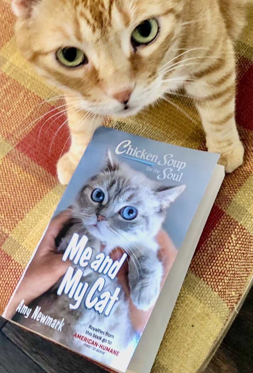 EvacarterEva's tweet photo. @ChickenSoupSoul My cat Ollie loves this book. He wants you to read my story THAT DARN CAT. It’s about my cat Milot who convinced my grandma that cats were adorable…even ‘though she dragged a bra across the room at Christmas. https://t.co/pOmG96i4CS
