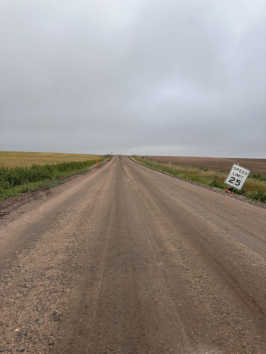 Sonya Wylie tweet media