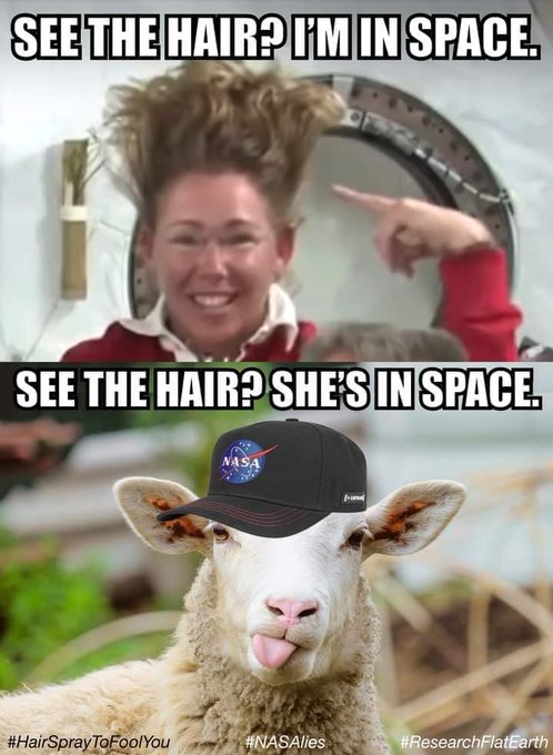 Mr.Obvious tweet media