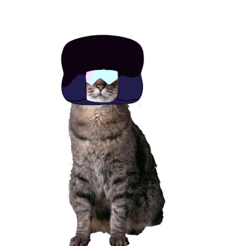 Truekindalove__'s tweet photo. Reply for a cat version of your muse
And retweet this if you want it to be high quality
(Image for attention) https://t.co/DxHil8kugi
