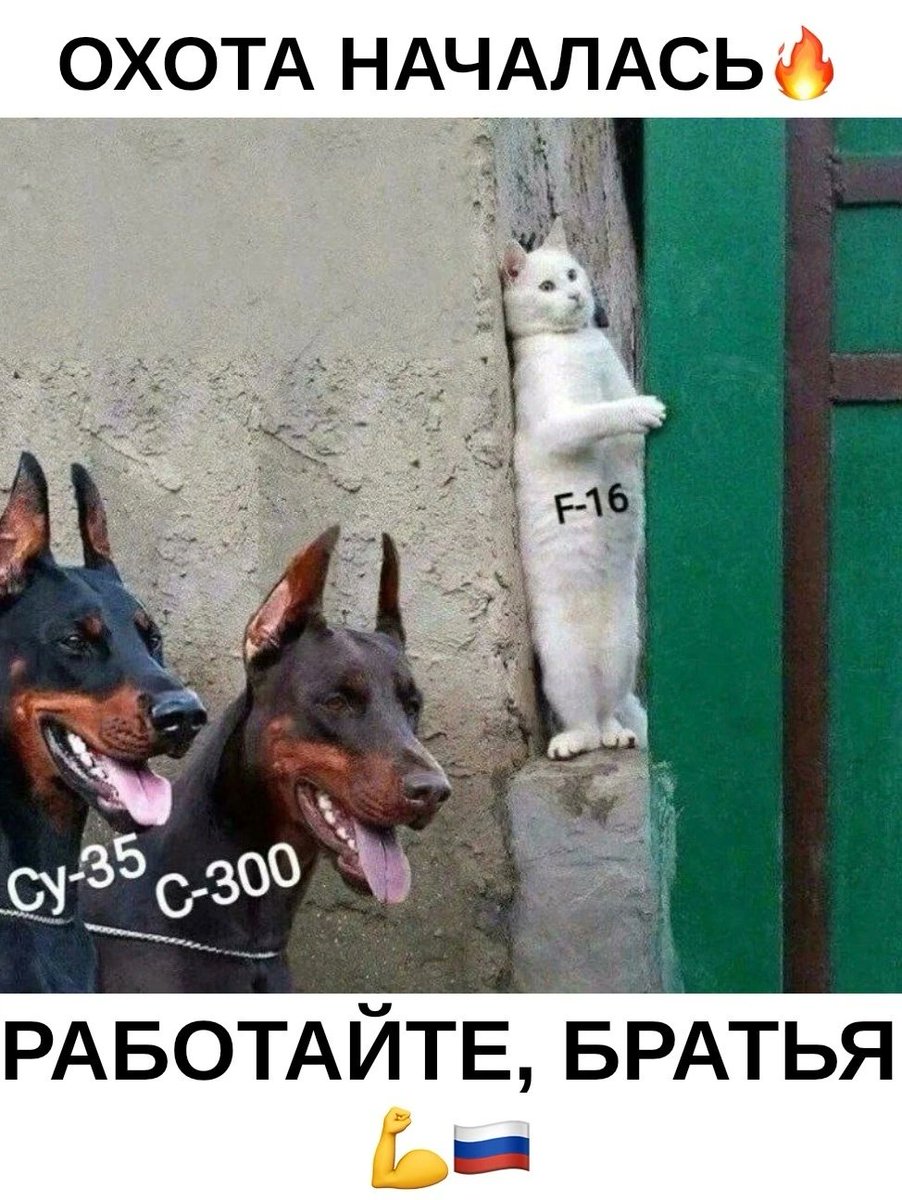 Боевой Ме///ведь (@victiri38457455) on Twitter photo 