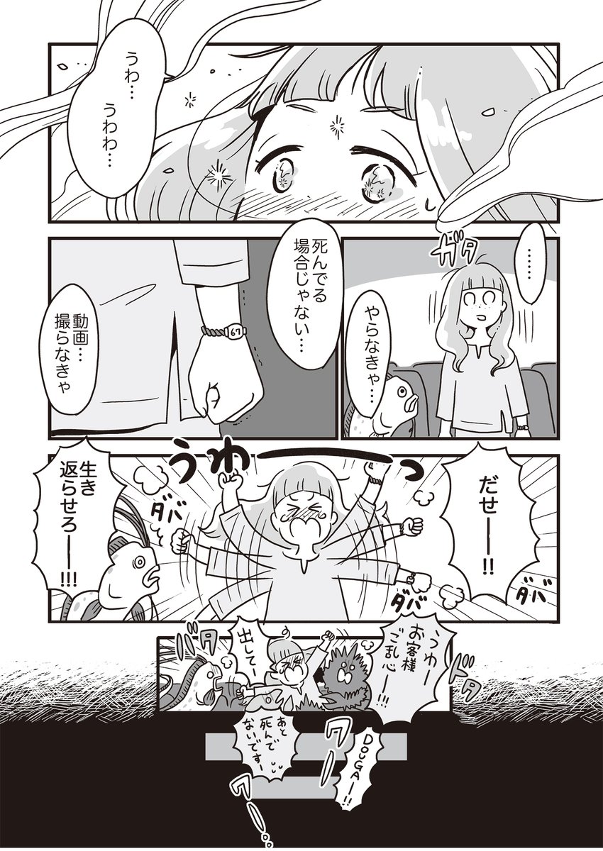 (5/5) 