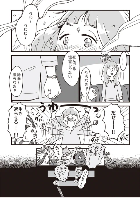 (5/5) 