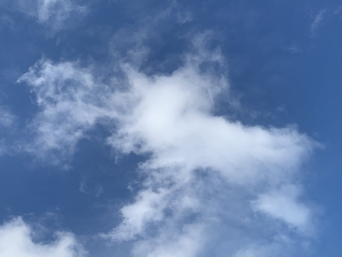 HoopToIt | QRdano 🧩 tweet media