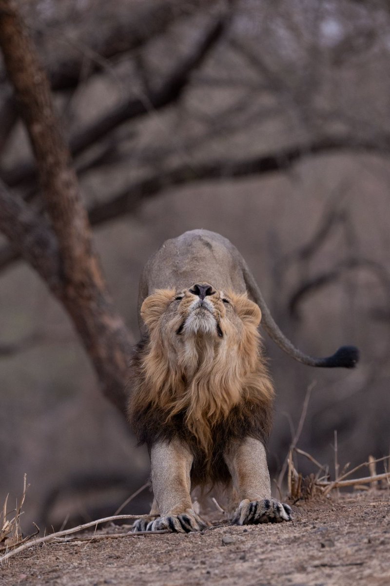 Narendra Modi tweet media