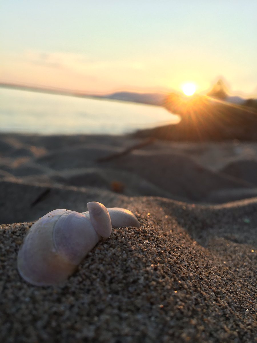Gün doğumunu izlemek 🤍🐚