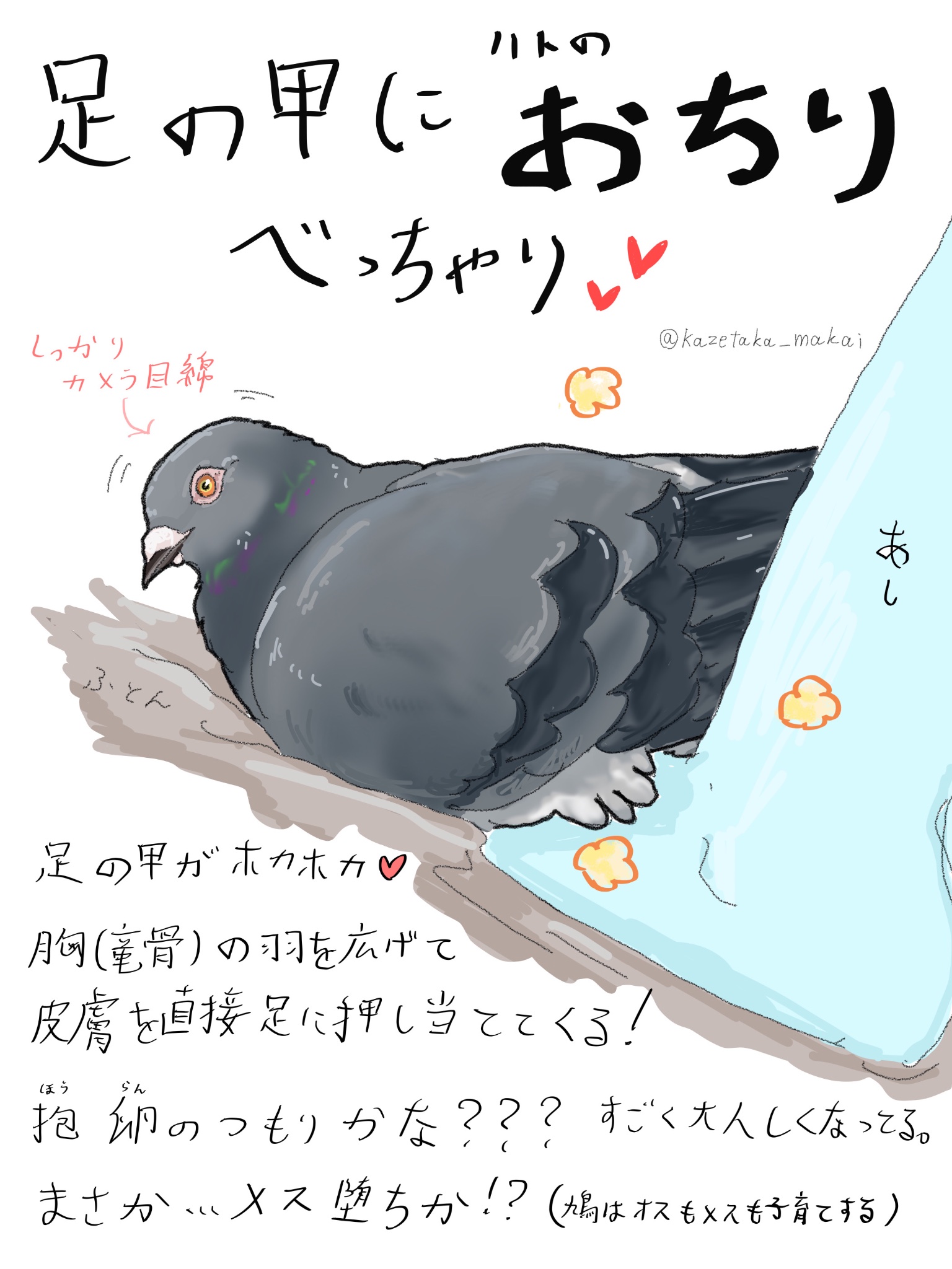 鳩-Heart Hat （灰二引） | 魔界ノ風鷹