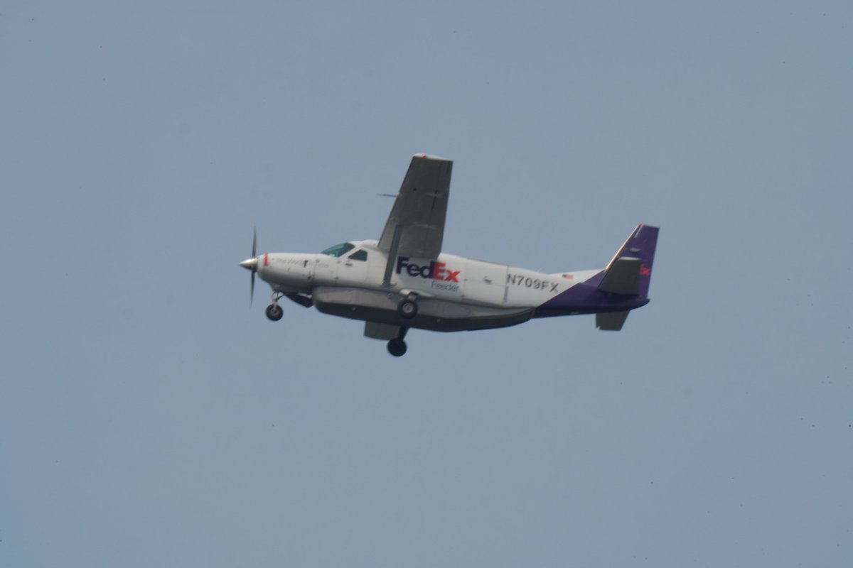 junchan1200's tweet photo. サクラメントのAirshowで操縦席に座らせてもらったFedExのカーゴマスター😀
#シアトル #シアトル・タコマ国際空港 #SEA #FedEx #N709FX #Cessna208B #Cargomaster #空活 #カメラ #カメラ初心者 #ソニー #sonya7 #Yakima #YKM #EM201 https://t.co/mE9eGnI3Kl