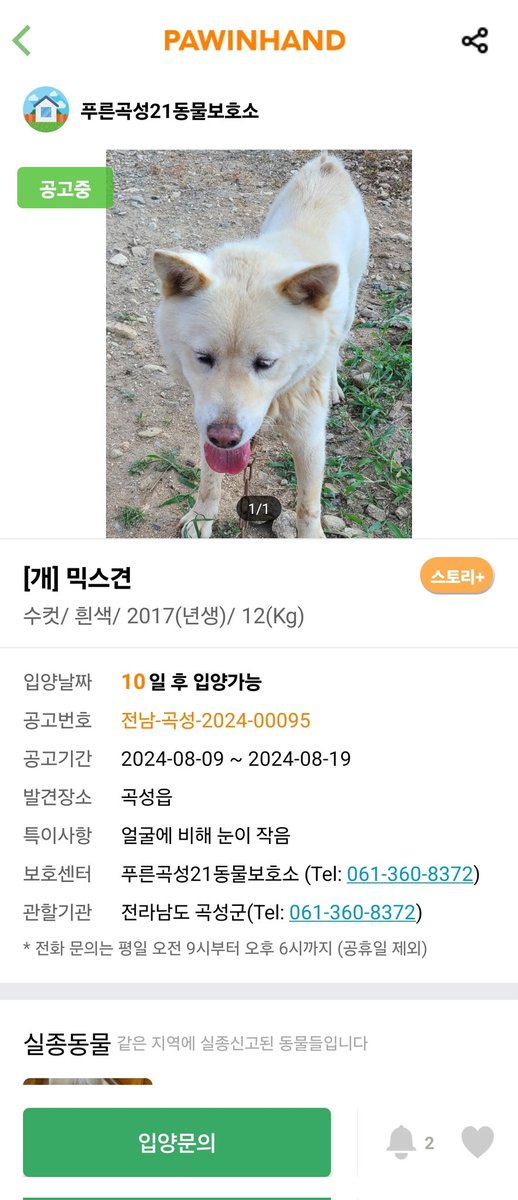 maru_O413's tweet photo. 얼굴에 비해 눈이 작음ㅋㅋㅋㅋㅋㅋㅋ
하 이번 주무관님 센스 미쳤다 https://t.co/mtgtaZIiTQ
