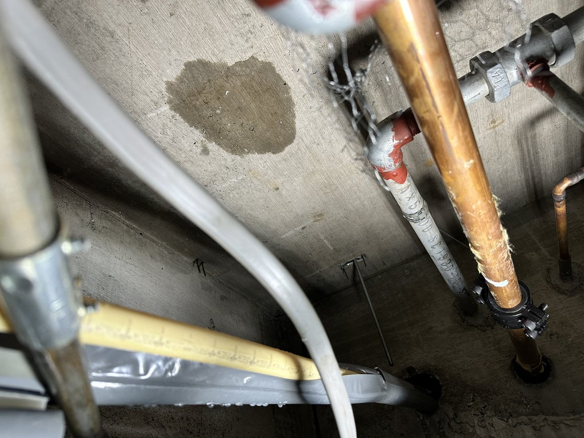 north_plumber's tweet photo. 急募

スラブから水漏れて来てるんだけど
エレベーターホールで
上の階に水周りなし。

考えたれる原因なんですか？ https://t.co/Etyk739XgW