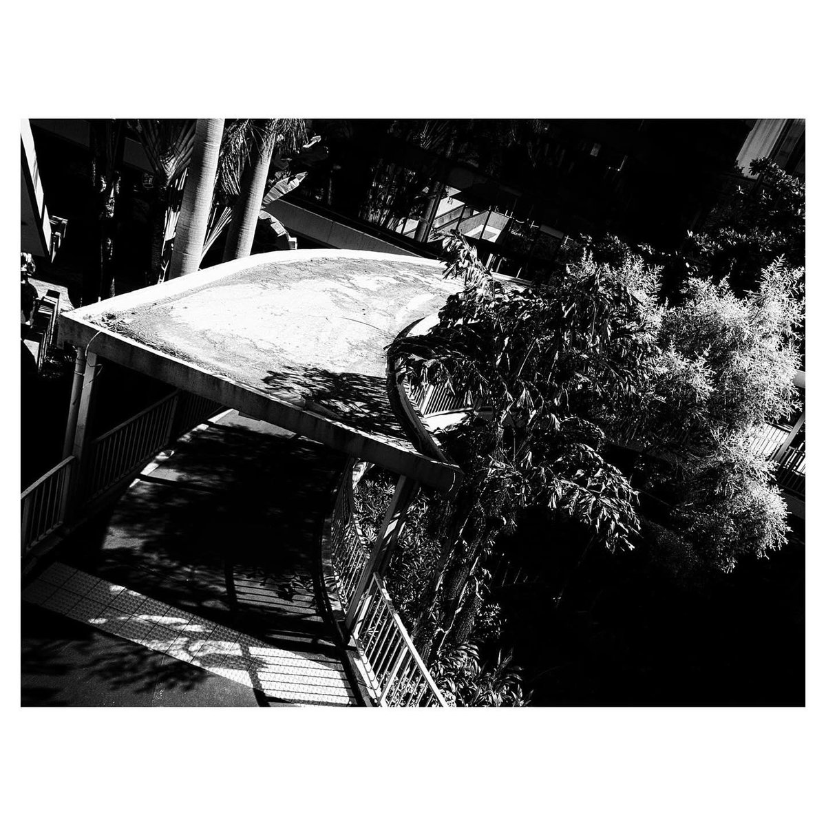 hkmasquerade's tweet photo. 2）

With my near-daily shooting habits, I’ve amassed an extensive photo collection over the years. While I had many horizontal shots in that collection, my first book ”Sparks“ in 2015 was a compilation of vertical black and white images, expressing my curiosity about the world through that particular photographic style. I made the decision not to reprint it once it sells out.
