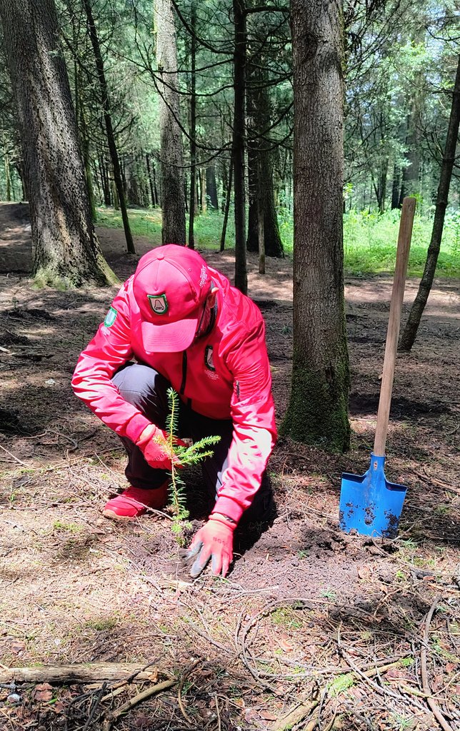 cabreracastillo's tweet photo. En el #ParqueEjidal de #SanNicolásTotolapan, plantamos más de 2 mil árboles de Oyamel (Abies Religiosa).  🌲

#𝑴𝒆𝒈𝒂𝑱𝒐𝒓𝒏𝒂𝒅𝒂𝒅𝒆𝑹𝒆𝒇𝒐𝒓𝒆𝒔𝒕𝒂𝒄𝒊ó𝒏2024. 

#ConejalPACC #JuntosDamosResultados @PRI_Nacional  @PRICDMX_ @BetanzosOficial @Luis_GQM @TaniaLariosMX https://t.co/pHFitaZNAo