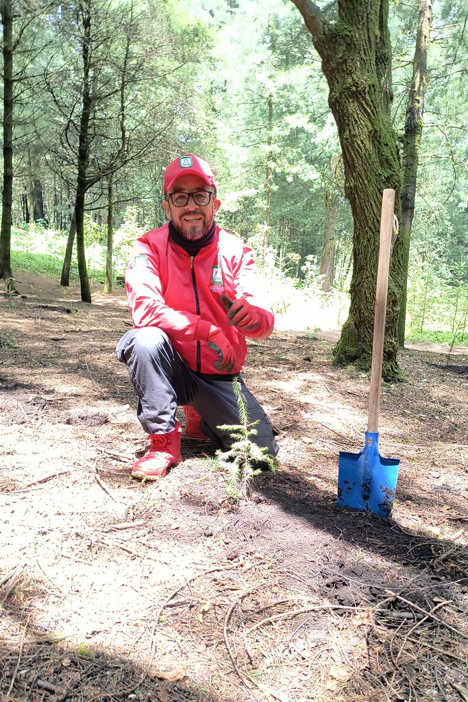 cabreracastillo's tweet photo. En el #ParqueEjidal de #SanNicolásTotolapan, plantamos más de 2 mil árboles de Oyamel (Abies Religiosa).  🌲

#𝑴𝒆𝒈𝒂𝑱𝒐𝒓𝒏𝒂𝒅𝒂𝒅𝒆𝑹𝒆𝒇𝒐𝒓𝒆𝒔𝒕𝒂𝒄𝒊ó𝒏2024. 

#ConejalPACC #JuntosDamosResultados @PRI_Nacional  @PRICDMX_ @BetanzosOficial @Luis_GQM @TaniaLariosMX https://t.co/pHFitaZNAo