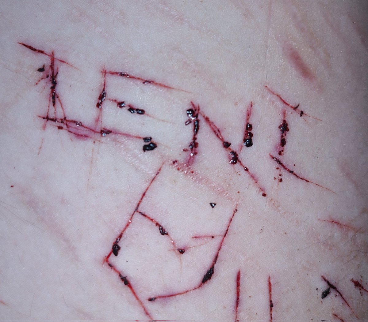 Asmo_Shtwt's tweet photo. carving on my thigh~  my blades are so dull~ :( #shtwt  #catScratches 🍓 https://t.co/2zAalRmaB1