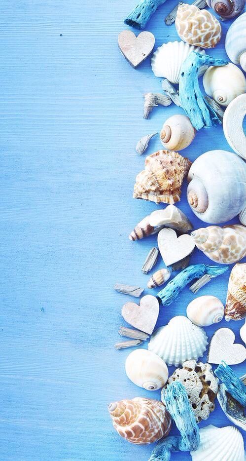 호다신 (@holaldashin) on Twitter photo 