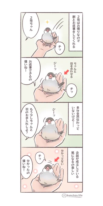 2号との会話が楽しい
#文鳥 
#4コマ漫画 