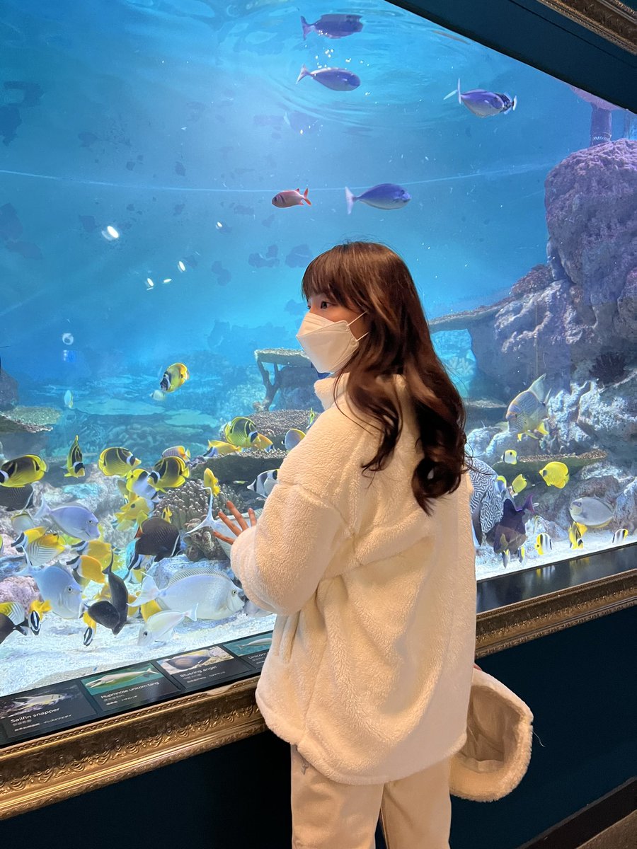 atomapcy_'s tweet photo. give you my aquarium memories 🌨️✨ 

ATOM GOOD THINGS AHEAD 10
#爱你atom七夕快乐
#atomapcy #konkonbabe https://t.co/JouxQWnHeu