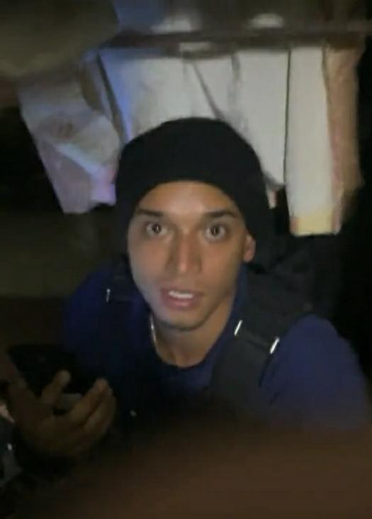 Tori 🦜 Conure Vtuber 🦜 tweet media