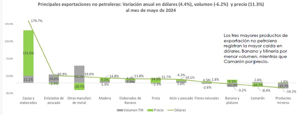 faustortizd's tweet image. Cacao casi triplicando su exportación en dólares pisa los talones a Minería con cifras hasta mayo de 2024. Principales 3 productos de exportación no petrolera con crecimiento en rojo. Banano casi empata, lo que cae en TM sube en precio, Camarón ve caer precio y Minería volumen