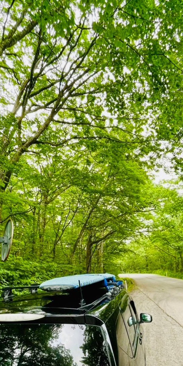 eichan3_1's tweet photo. テイクオフの時眉の上に激痛が走り、クラゲ🪼に顔やられました。

顔はやだな～と思ったけど、そもそも水中に潜ってないのに、クラゲ飛び上がったのかい？

骸骨のフェースマスク被るかな〜…。 https://t.co/o3B7oqXdKE