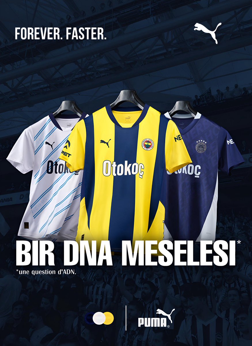 Fenerbahçe SK France 🇫🇷 tweet media