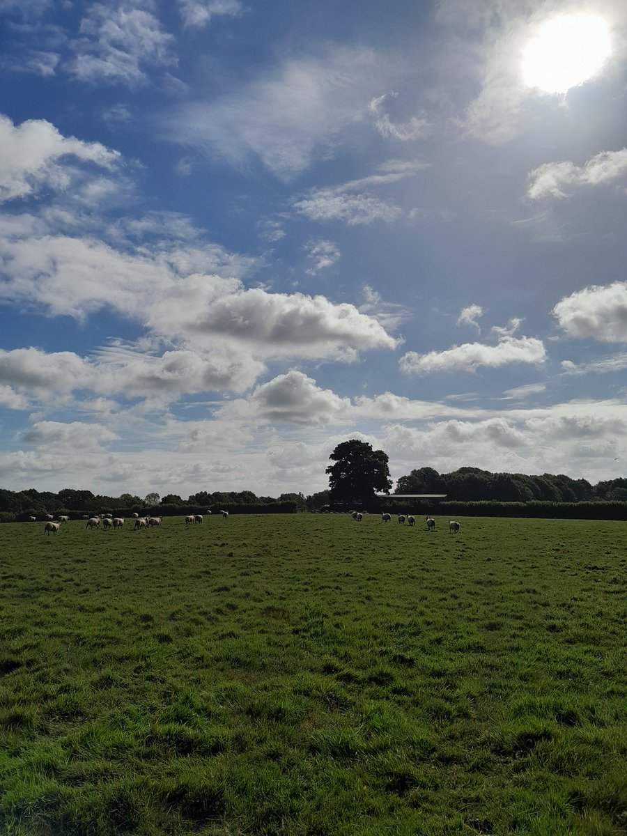 DickyWood tweet media