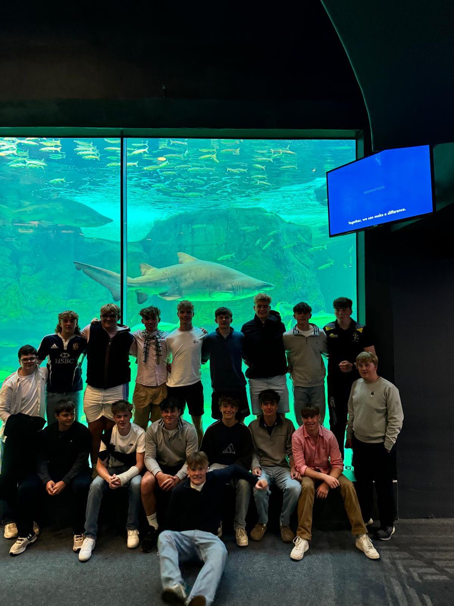 MerchiRugby's tweet photo. Our Boys really enjoyed visiting the @2OceansAquarium in Cape Town 🇿🇦🦈🐢🪼🐠

They loved seeing the Penguins 🐧 &amp; Sharks 🦈 being fed 🥩 

#tourists #nodowntime #squeezeeverydrop https://t.co/J5nTUtSzpO
