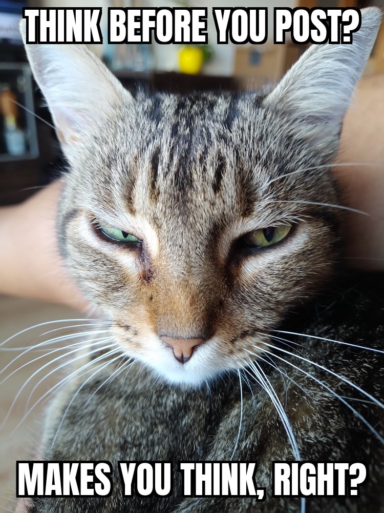 24naf's tweet image. Think this: is UK OK?
#thinkagain #thinktwice #thinkthink #TwoTierKeir #twoKeirThink #thinkingallthetime