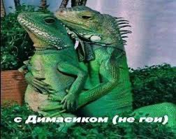 Катя гастарбайтер tweet media