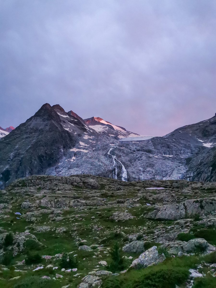 Virginia Toscano Rivalta tweet media