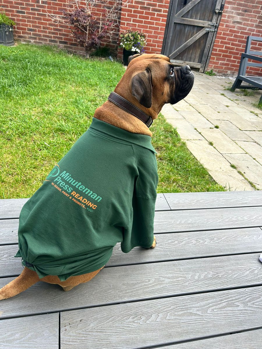 ReadingMMP's tweet photo. Wilson’s off today delivering another workwear order - give him a call if you want to get your business noticed!! https://t.co/kYKT21R5jv