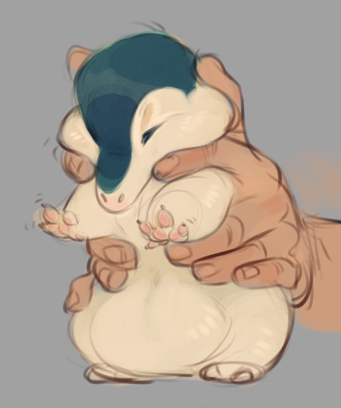 Aliiwa's tweet image. lol who&apos;s squishier? Custard or Chester?