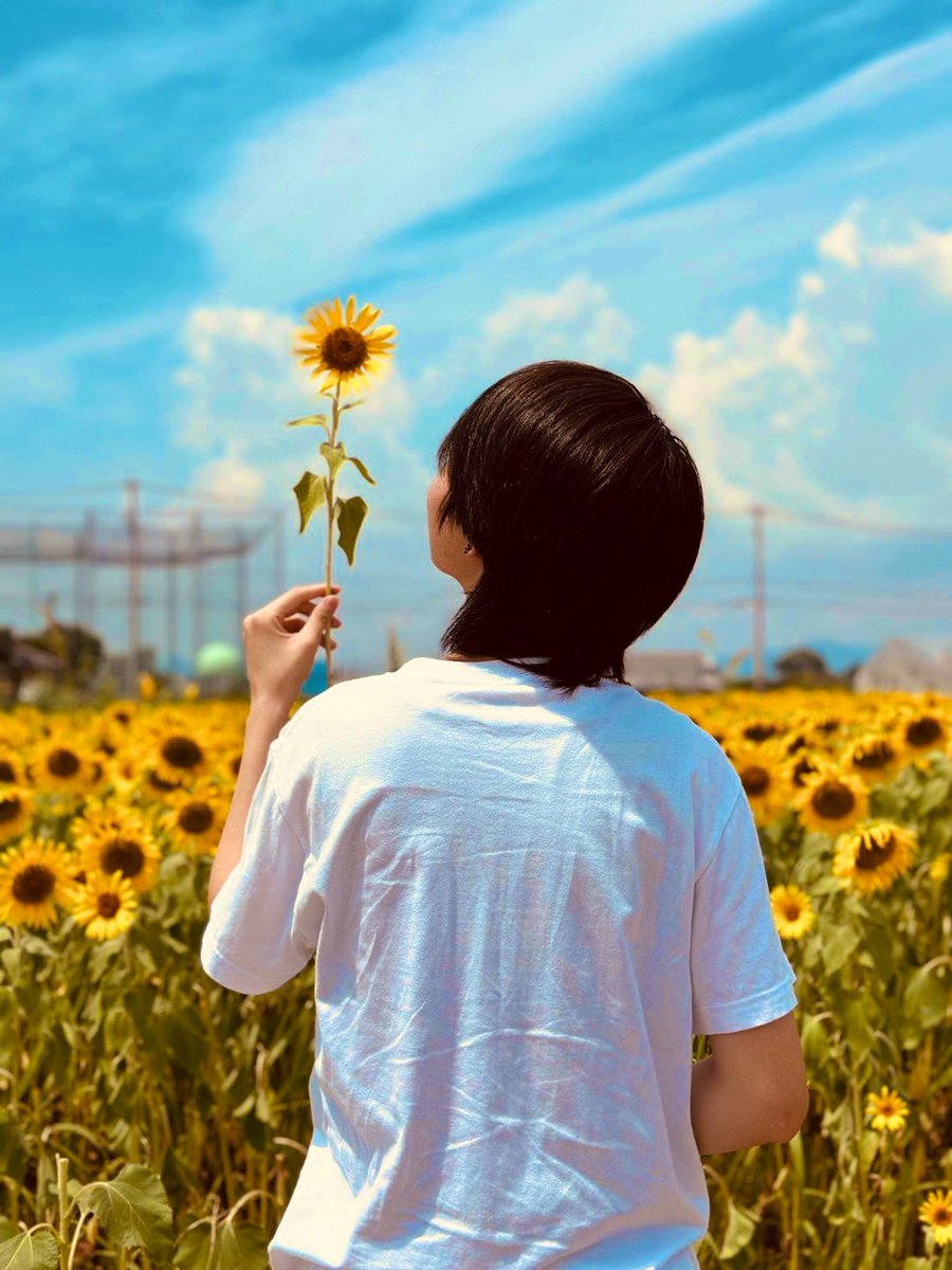 puuunta's tweet photo. 2024ひまわり
@1_yellow_1 https://t.co/XBHlUXn2JE