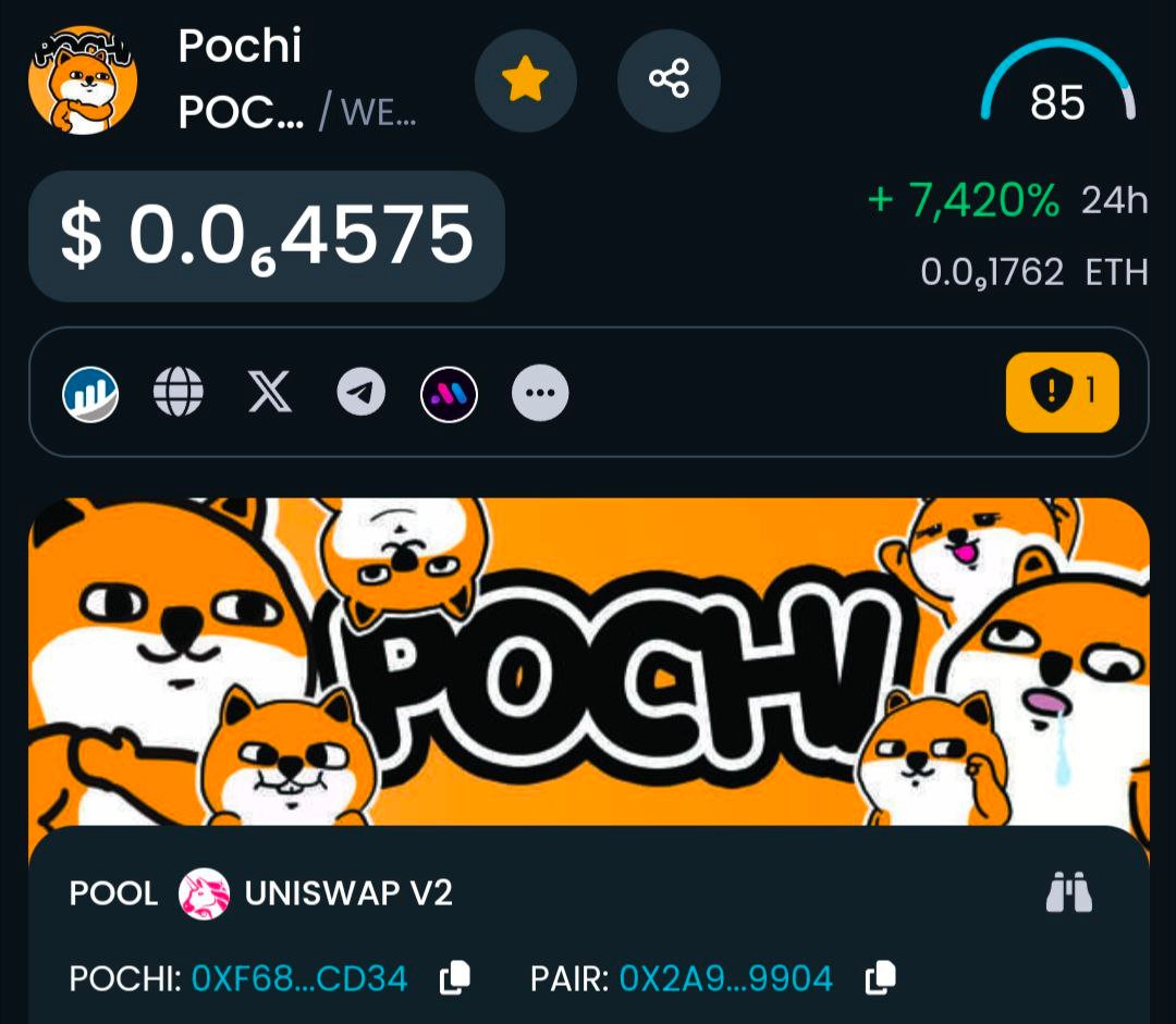 Pochi | $POCHI tweet media