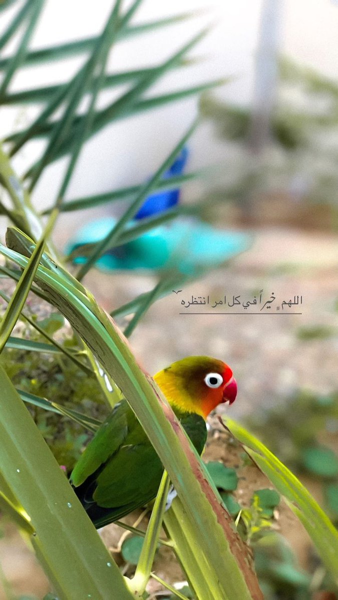 🌥👌🏻يأتي كل يوماً جديداً ليحمل معه الأمل بكل ما هو مشرق، فأستقبل يومك بابتسامة ليملأها 😊ألأمل والتفاؤل.
#صباح_الخير